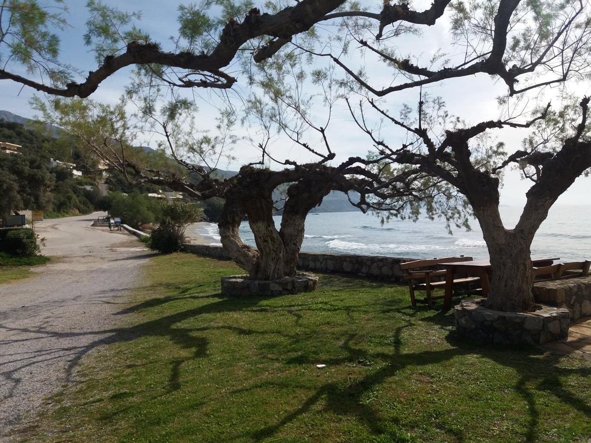 Νίκος&΄Αννα Bed and Breakfast Ροδάκινο Εξωτερικό φωτογραφία